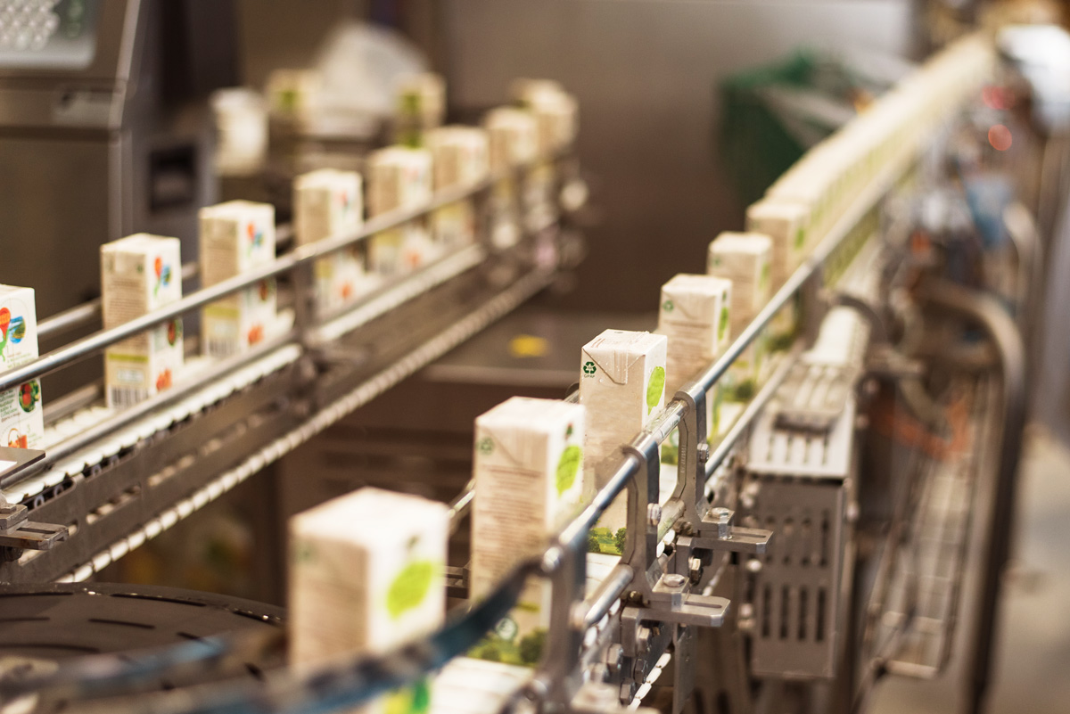 Conveyor in the food industry