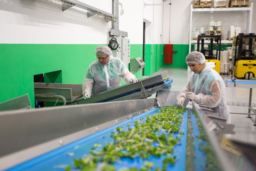 Saving energy in the food industry